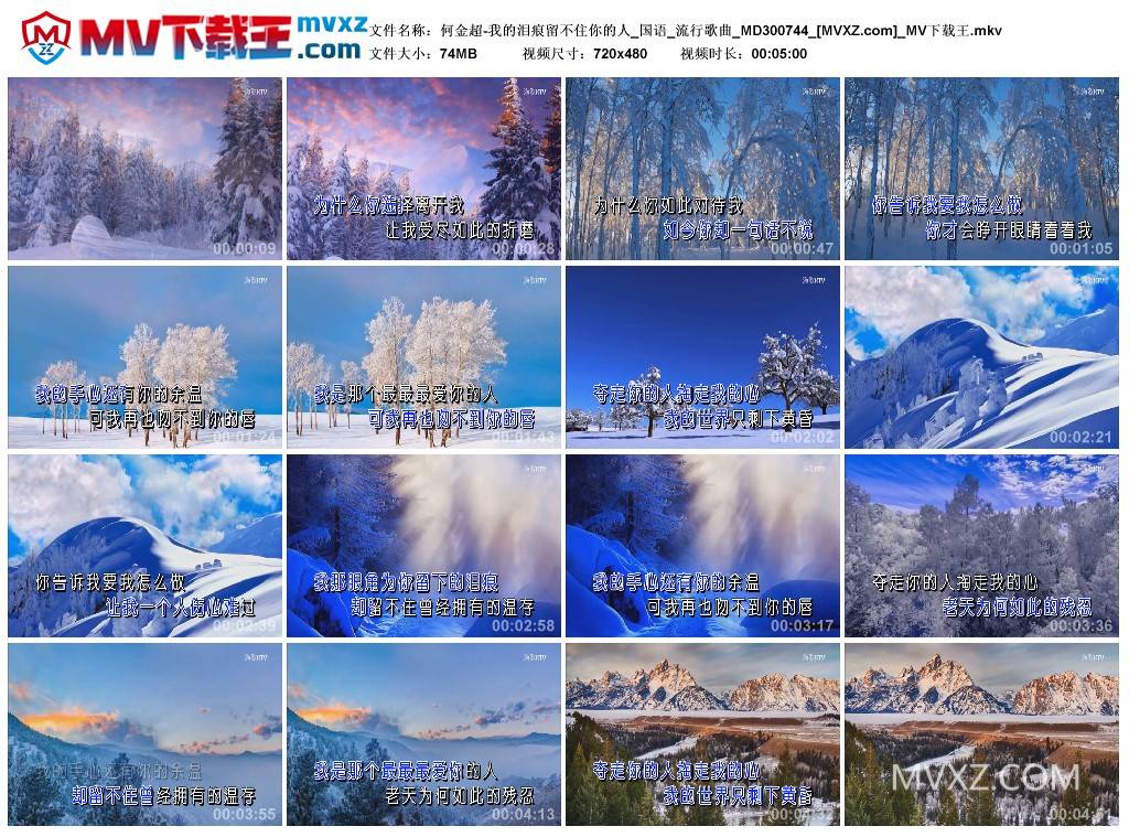 何金超-我的泪痕留不住你的人_国语_流行歌曲_MD300744